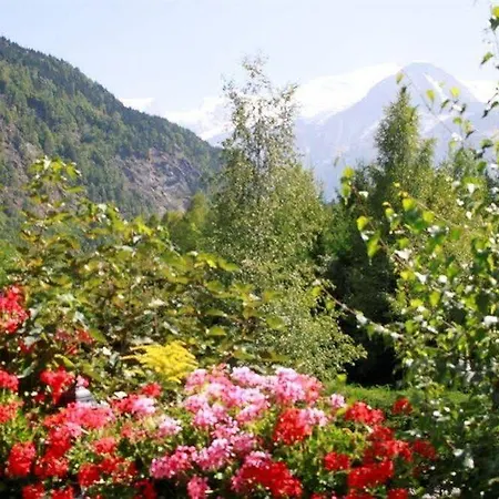 Fontaine Du Mont Blanc & Hotel 3*